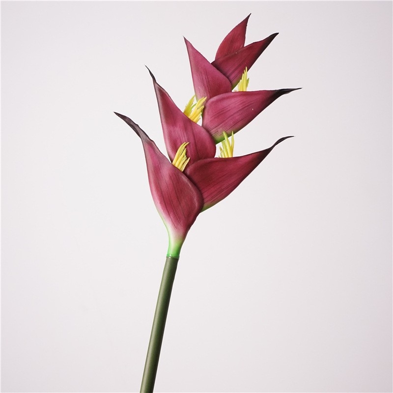 Simulated Heliconia