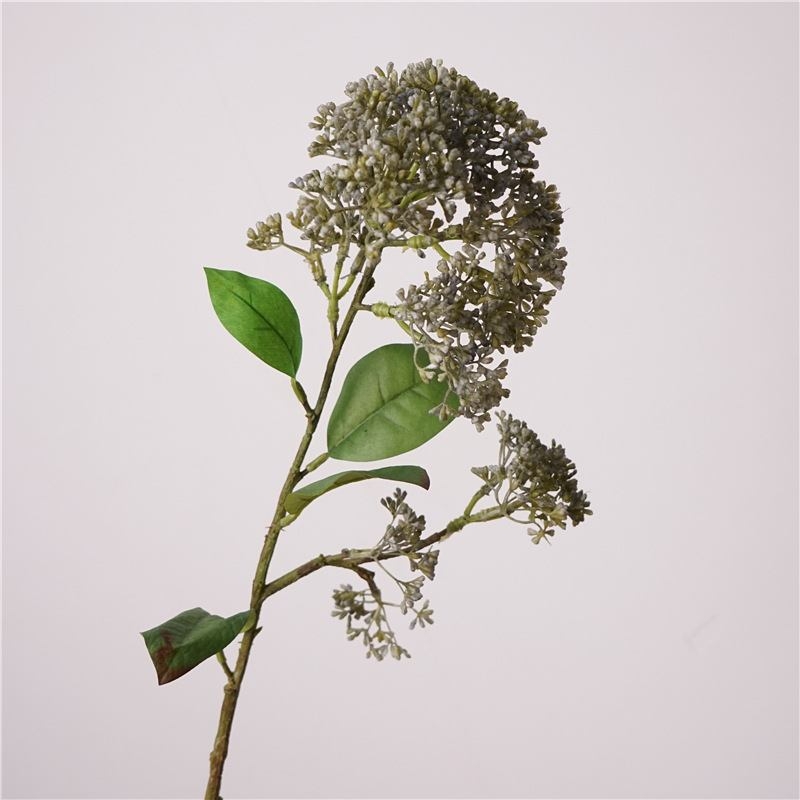 Simulated Skimmia