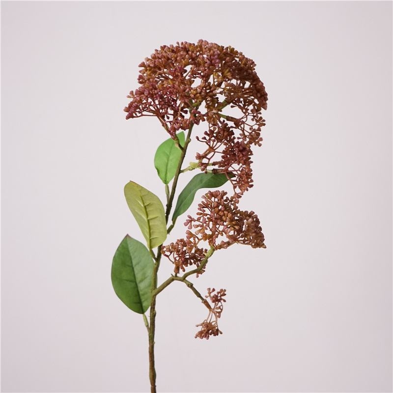 Simulated Skimmia