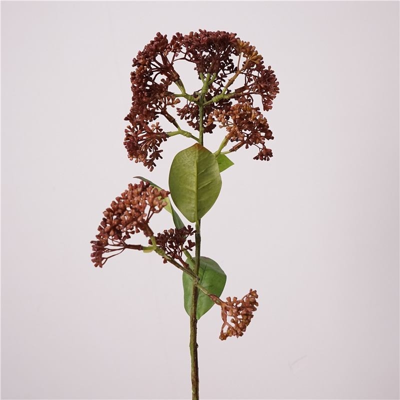 Simulated Skimmia