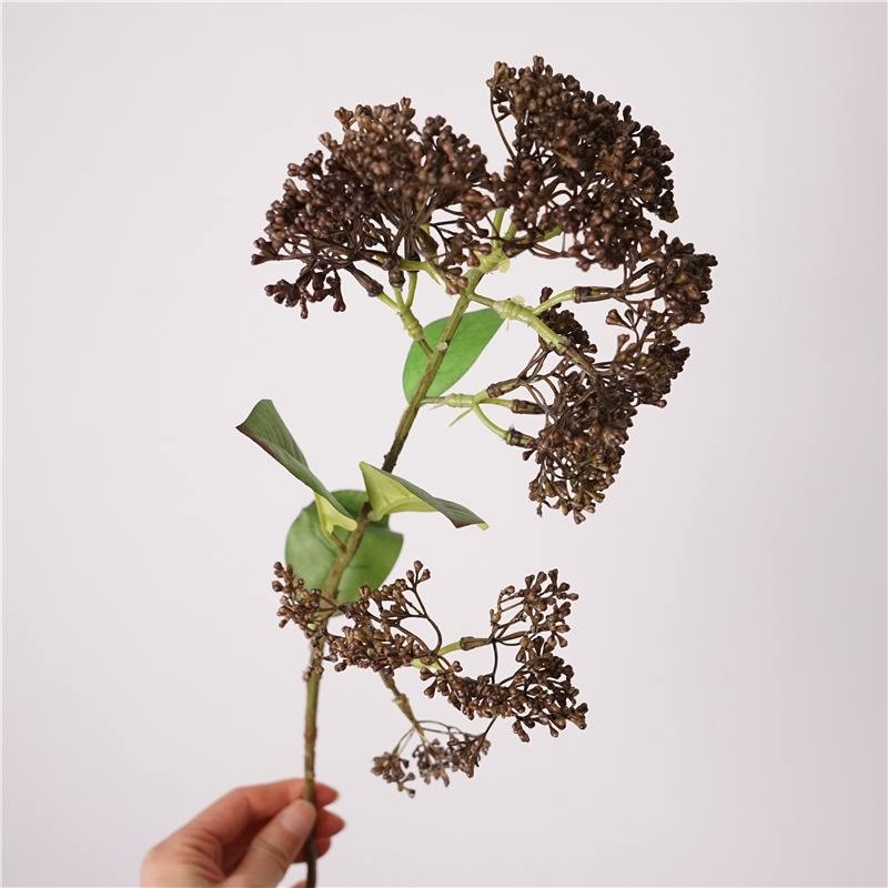 Simulated Skimmia