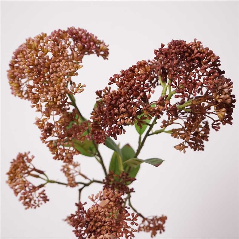 Simulated Skimmia