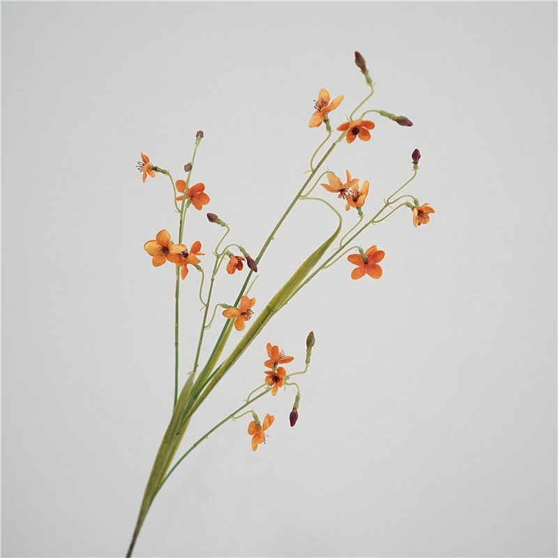 Artificla Larkspur herbaceous plant