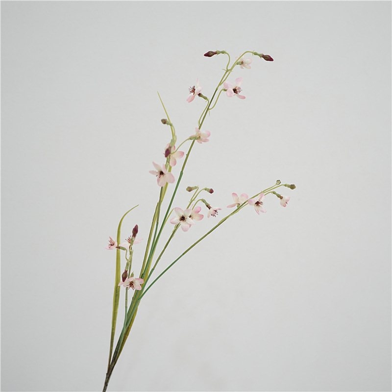 Artificla Larkspur herbaceous plant