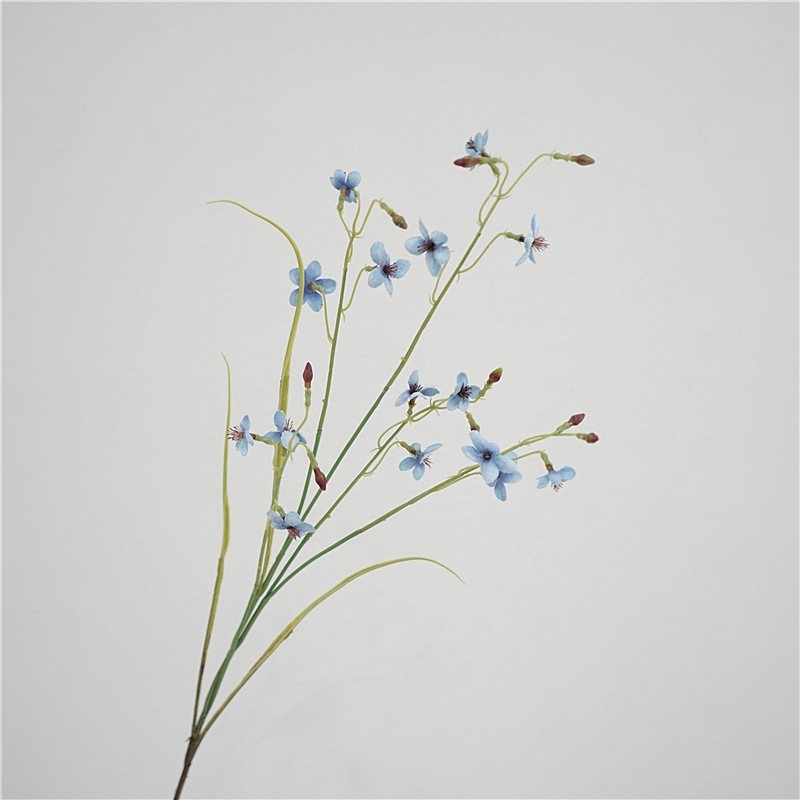 Artificla Larkspur herbaceous plant