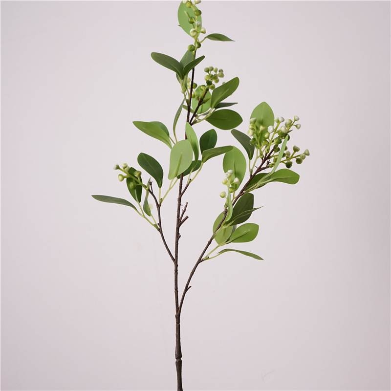 False eucalyptus leaves with fruit