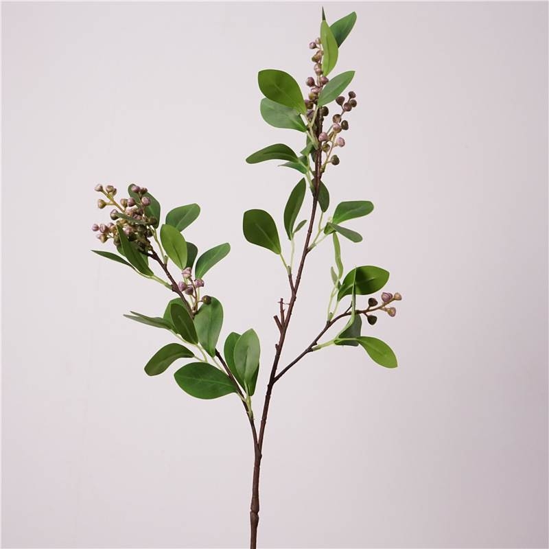 False eucalyptus leaves with fruit