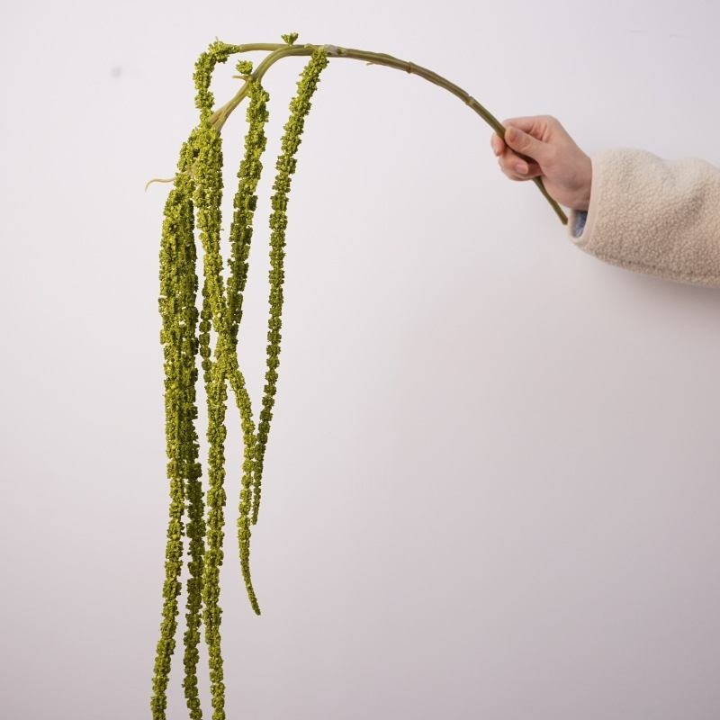 Simulated amaranth without leaf