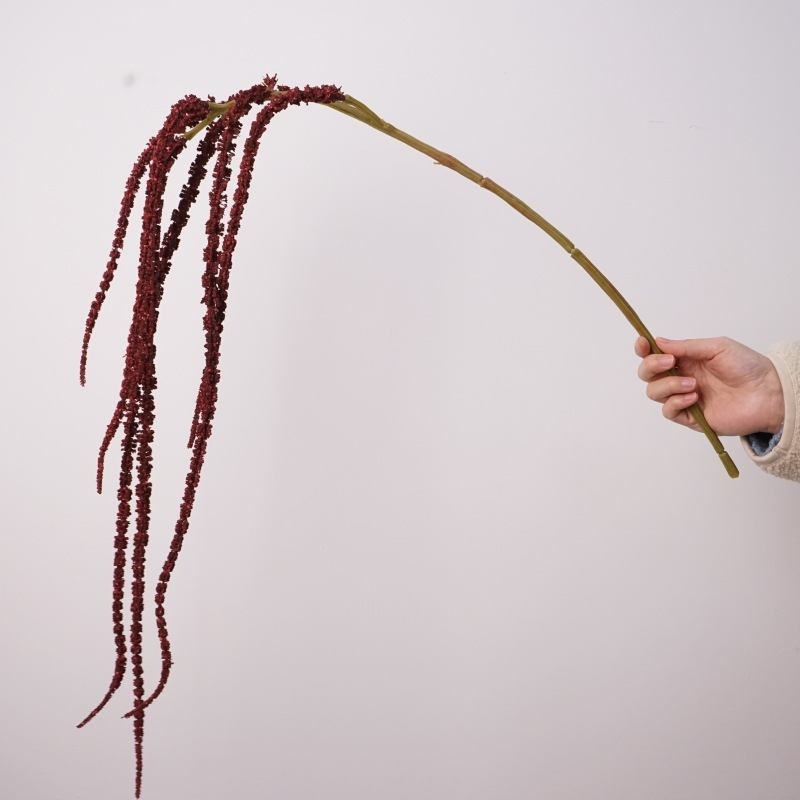 Simulated amaranth without leaf