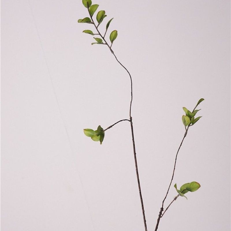 Fake banyan tree branches