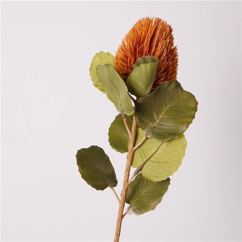 Artificial Baxteri banksia stem