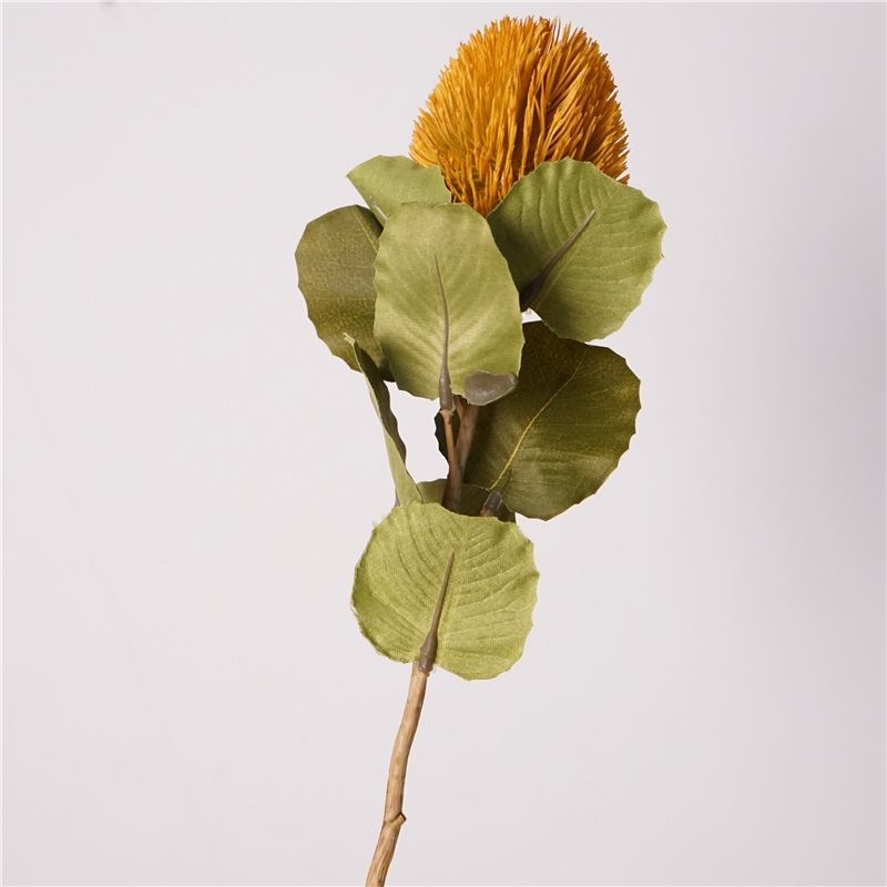 Artificial Baxteri banksia stem