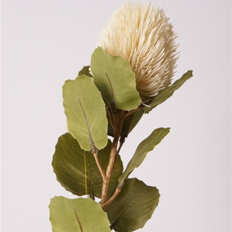 Artificial Baxteri banksia stem