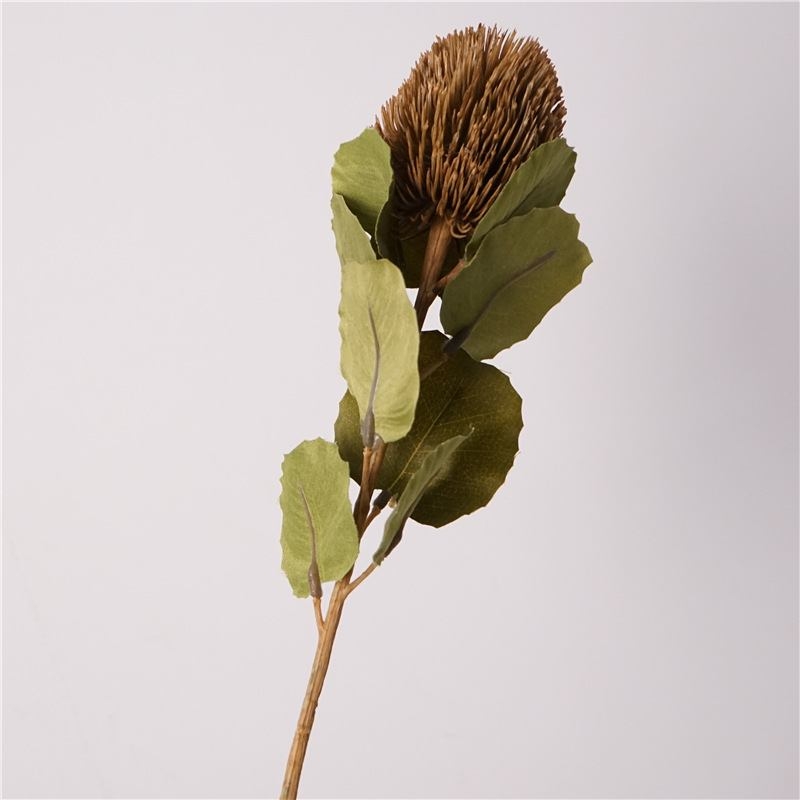 Artificial Baxteri banksia stem