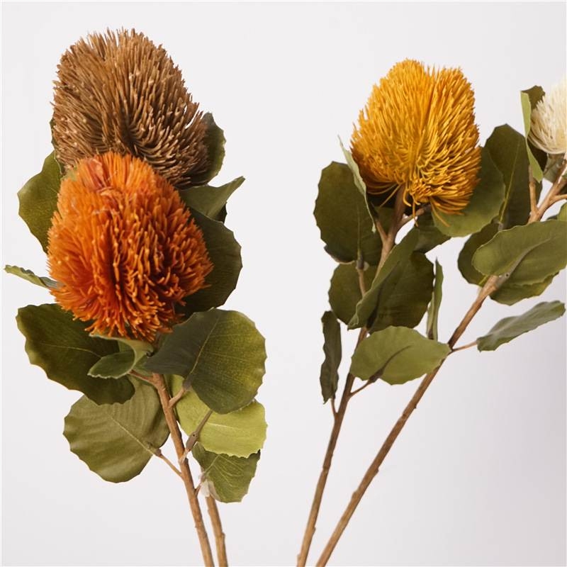 Artificial Baxteri banksia stem