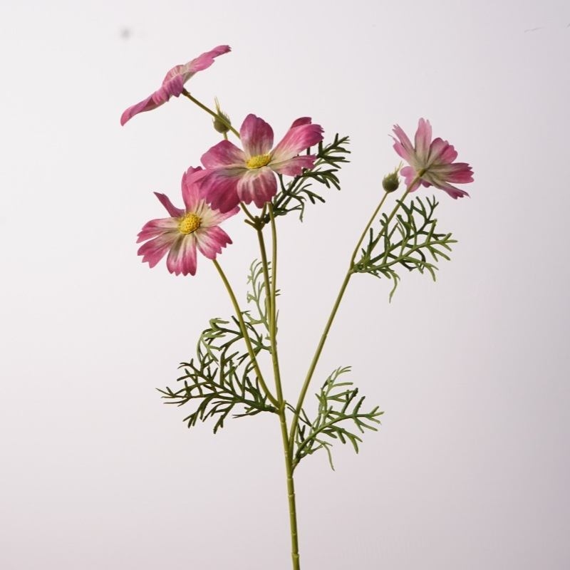 Fake cosmos flowers