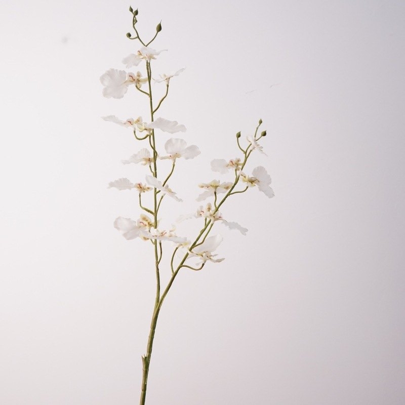 Double-forked False Dancing Orchid