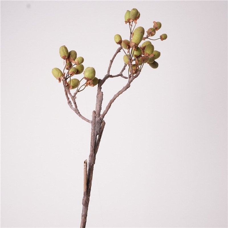 Artificial kiwifruit branch