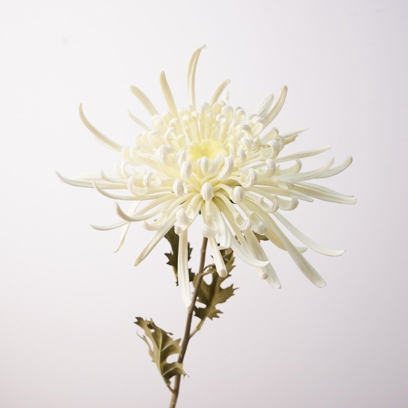 Artificial  Spider Chrysanthemum