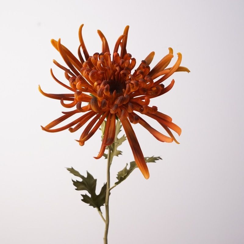 Artificial  Spider Chrysanthemum