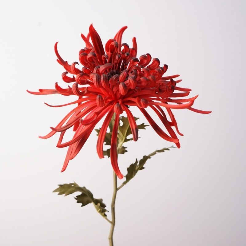 Artificial  Spider Chrysanthemum