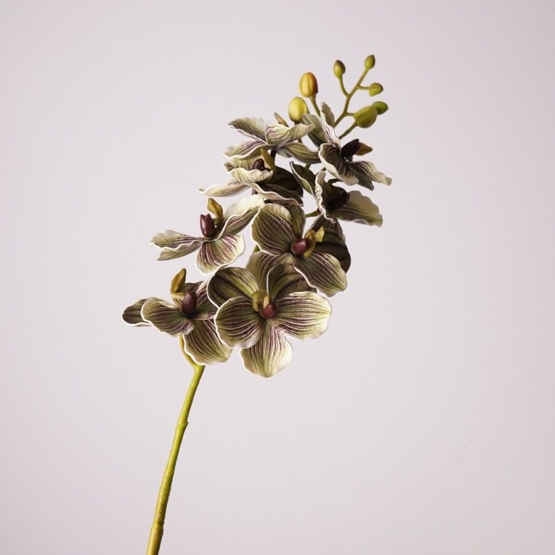 Wholesale artificial Vanda orchids