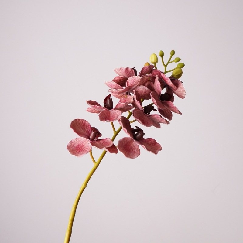 Wholesale artificial Vanda orchids