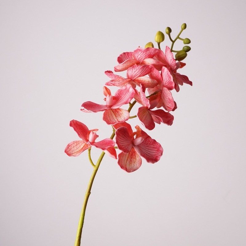 Wholesale artificial Vanda orchids