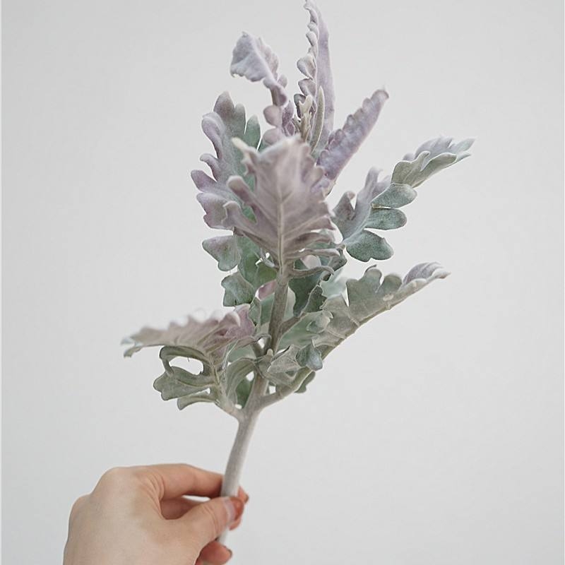 Simulated Dusty Miller