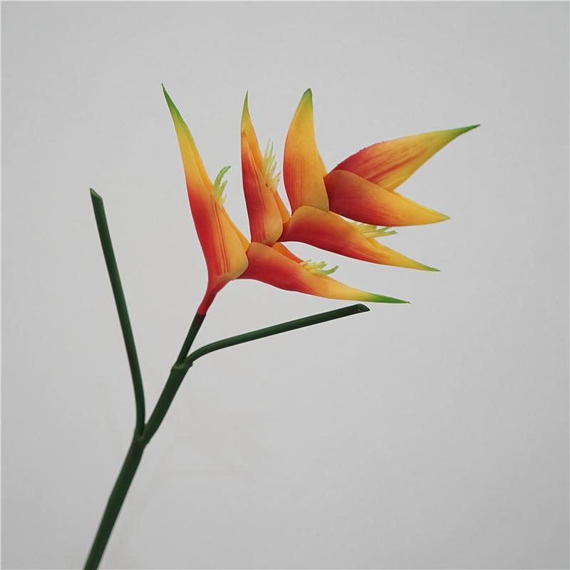 Fake Heliconia