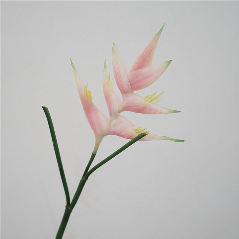 Fake Heliconia