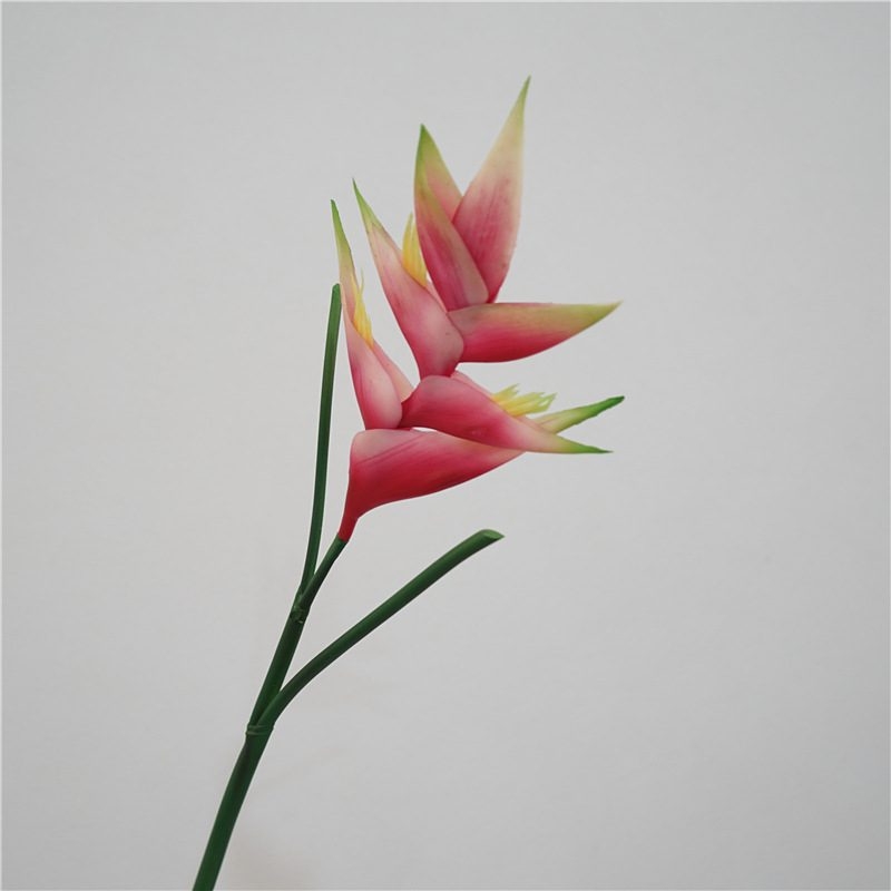 Fake Heliconia