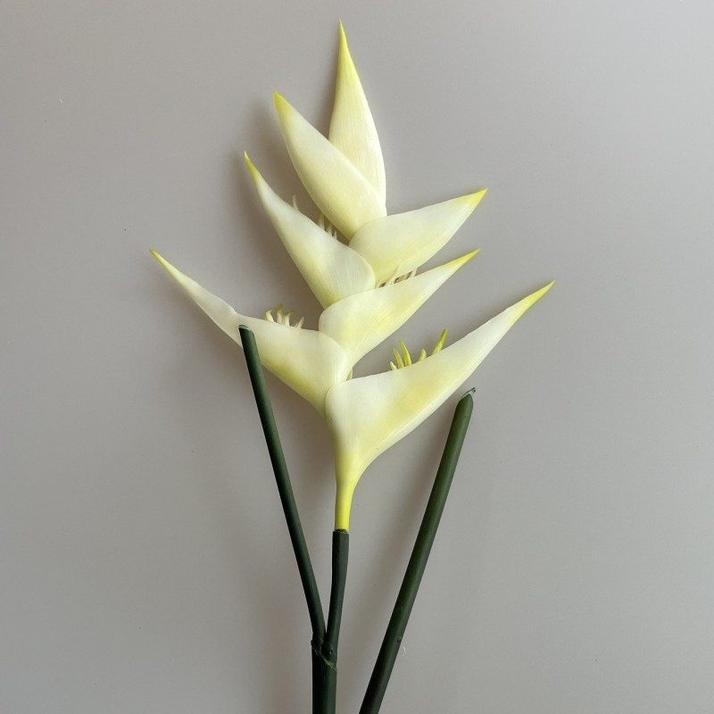 Fake Heliconia