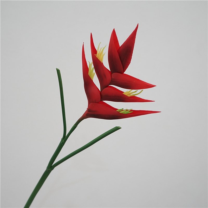 Fake Heliconia
