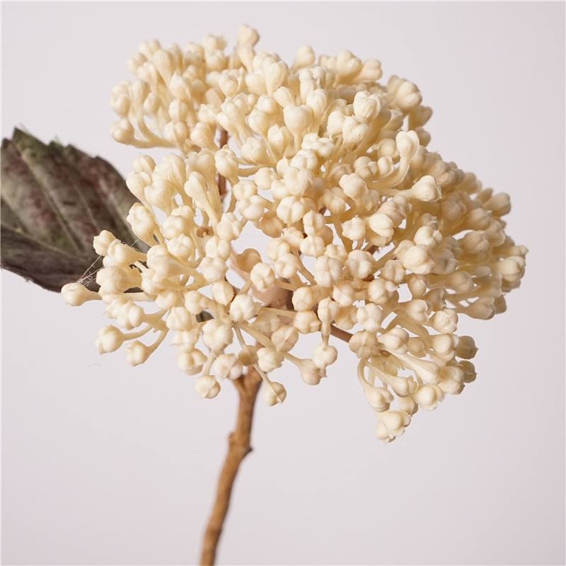 Simulated autumn-colored hydrangea fruit