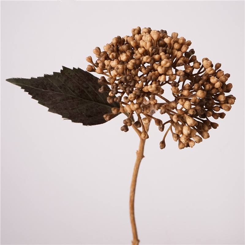Simulated autumn-colored hydrangea fruit