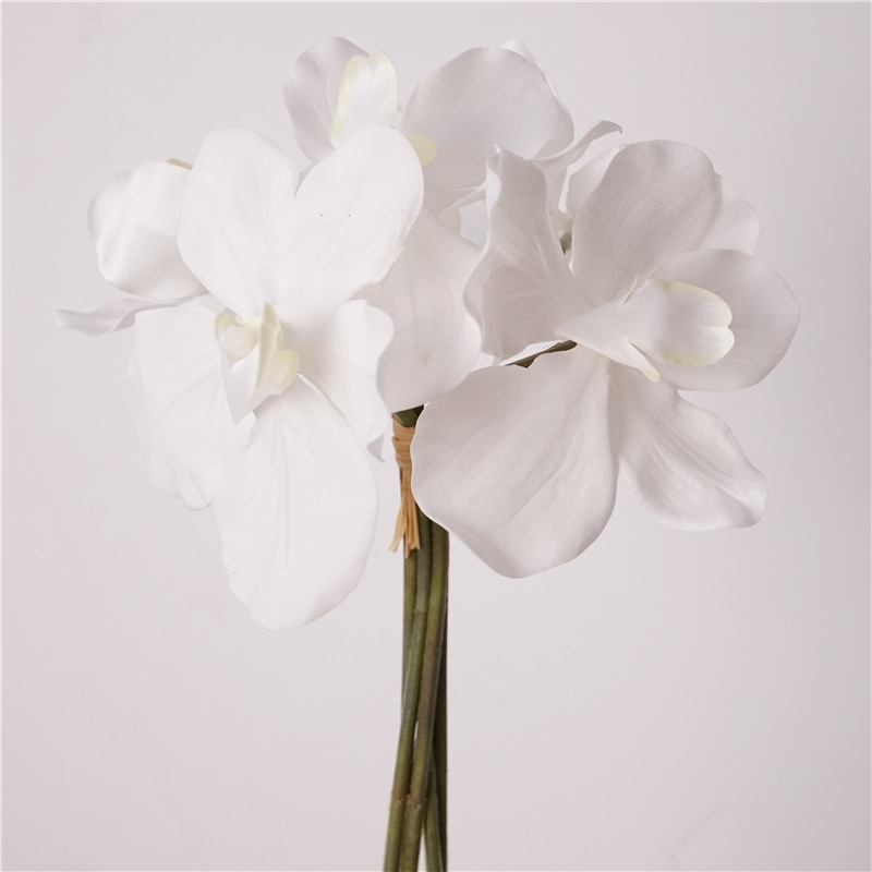 Moisturizing Vanda orchid bunch