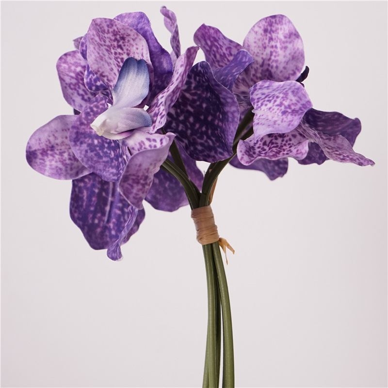 Moisturizing Vanda orchid bunch