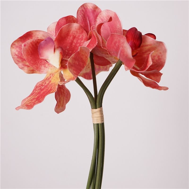 Moisturizing Vanda orchid bunch