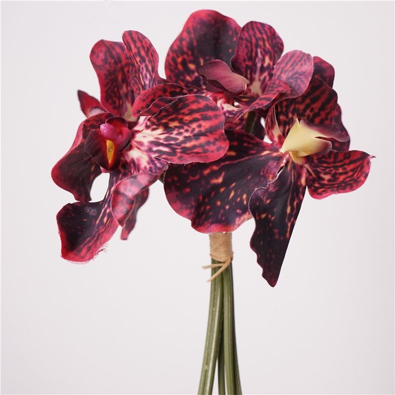Moisturizing Vanda orchid bunch
