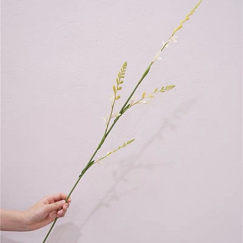Faux Montbretia