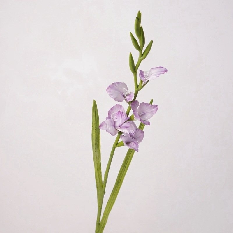 High-fidelity false gladiolus
