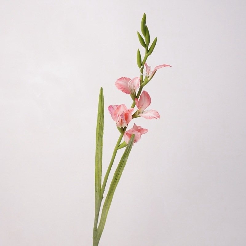 High-fidelity false gladiolus