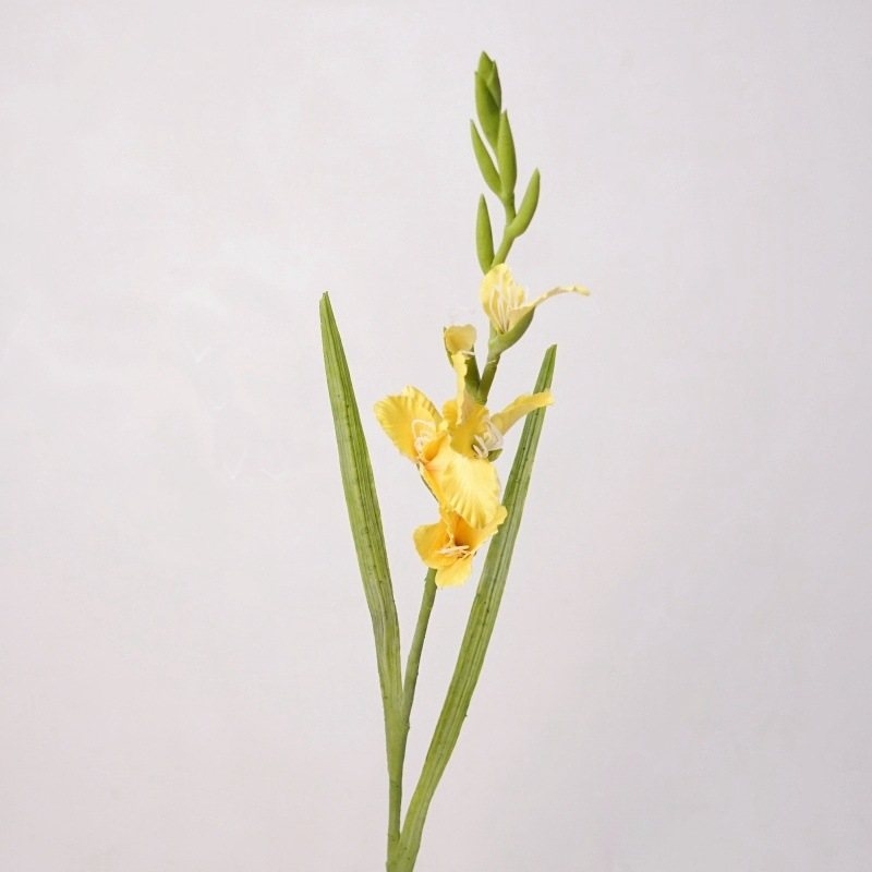 High-fidelity false gladiolus