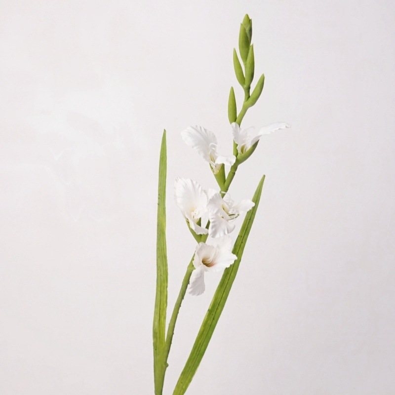 High-fidelity false gladiolus