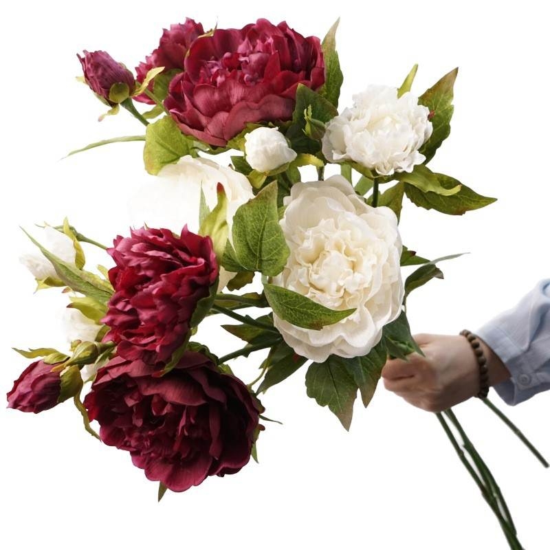 A realistic peony with three flowers