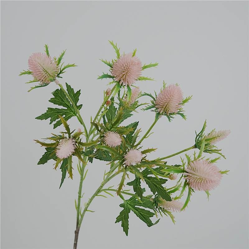 Fake Eryngium