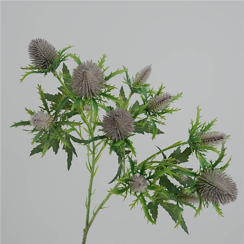 Fake Eryngium
