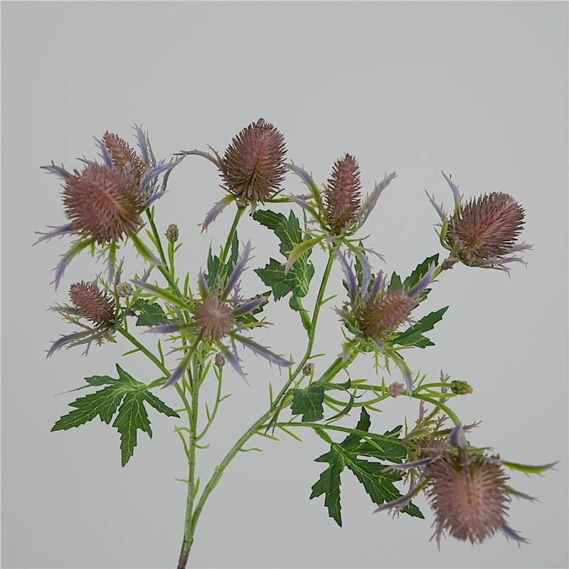 Fake Eryngium