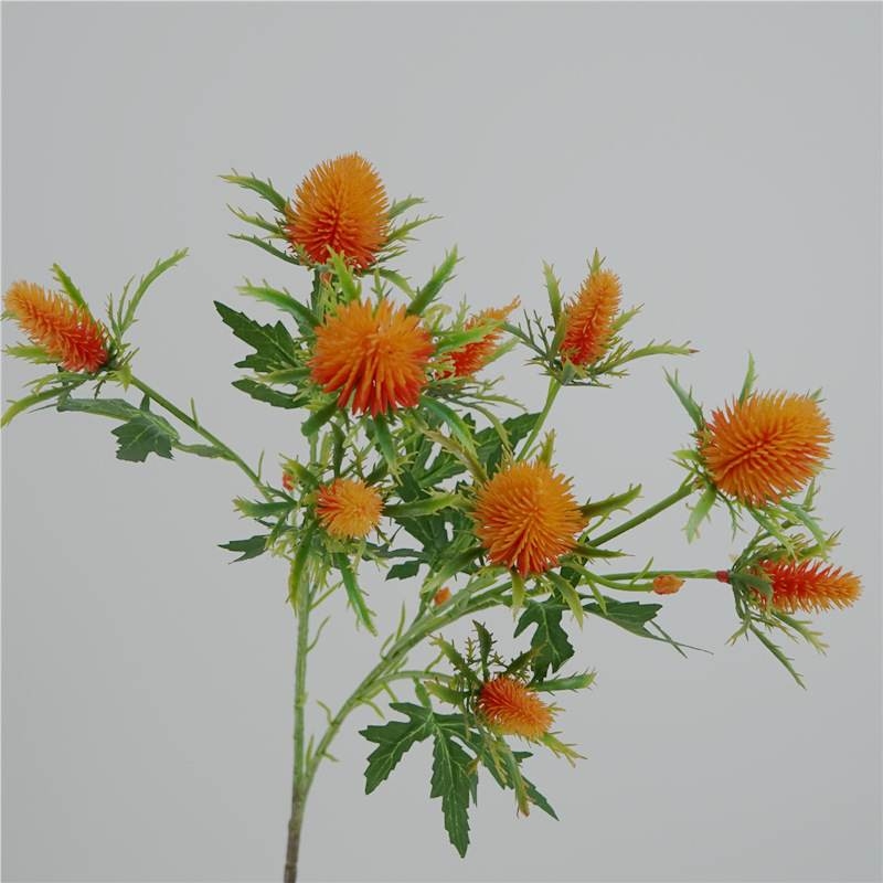 Fake Eryngium